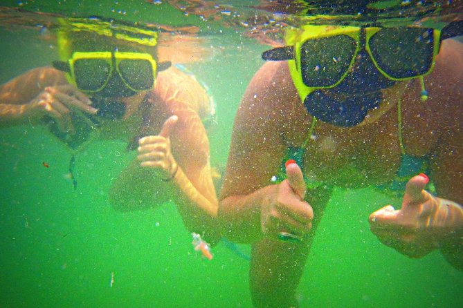 Shell Island Snorkel and Dolphin Catamaran Cruise with Island Time - Drinks, snacks, and the rum punch moment