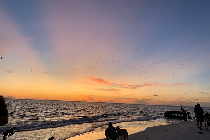 Siesta Key Electric Bike Sunset Tour - The beach ride itself: sand riding, bumpy spots, and crowd reality
