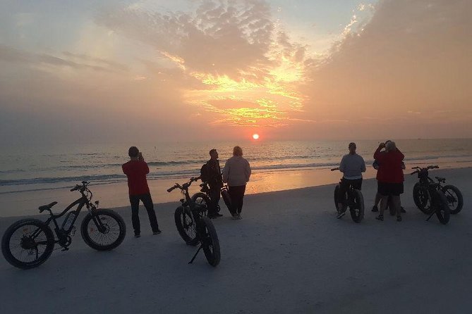 Siesta Key Electric Bike Sunset Tour - Your e-bike setup: 5 pedal-assist levels and a throttle