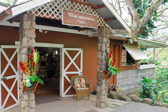 Sights & Bites Ultimate Oahu Circle Island Foodie Tour - Stop 7: Puaʻena Point Beach Park for green sea turtle spotting