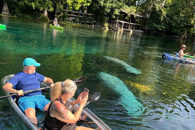 Silver Springs Clear Kayak Manatee, Monkey & Wildlife Adventures - Why Silver Springs on a clear kayak hits different