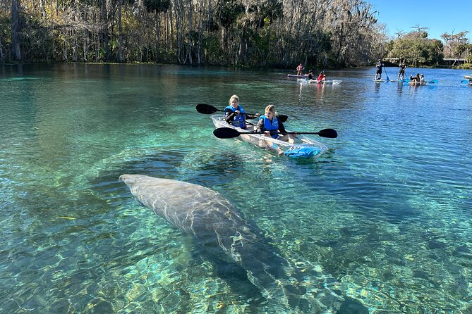 Silver Springs Clear Kayak Manatee, Monkey & Wildlife Adventures - Small groups and a calmer start