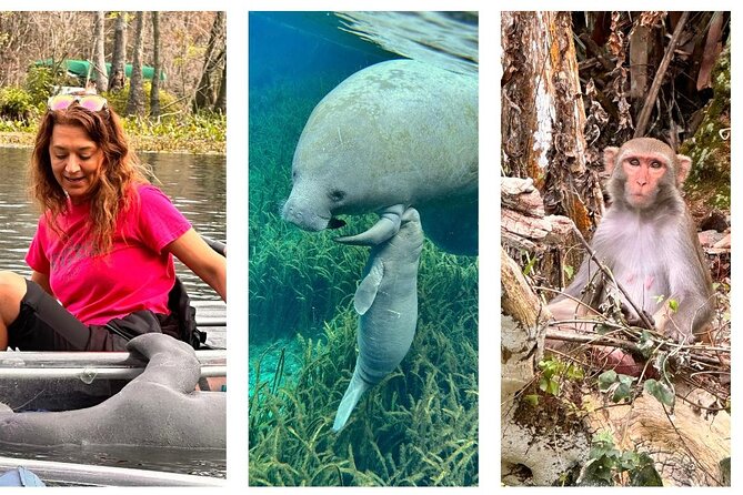 Silver Springs Clear Kayak Manatee, Monkey & Wildlife Adventures - Where to meet and how the morning (or afternoon) flows