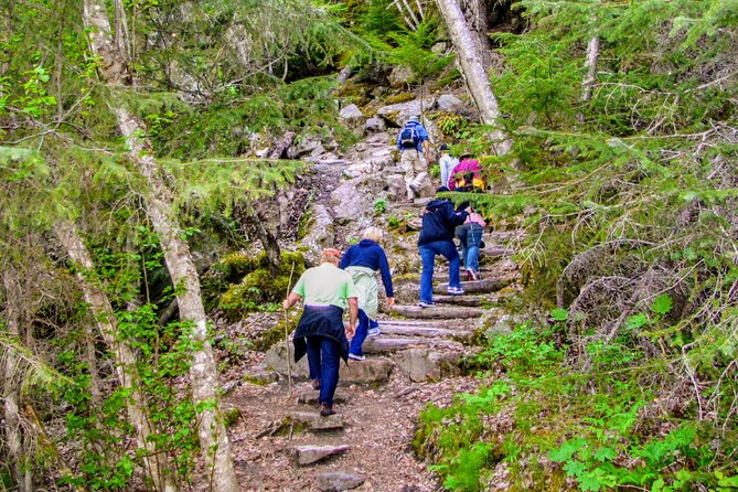 Skagway Shore Excursion Chilkoot Trail Hike and Float Tour - Why this Chilkoot Trail plus Taiya River float combo works
