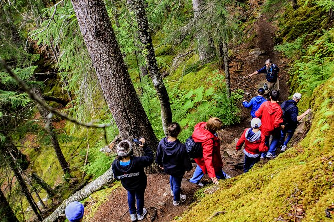 Skagway Shore Excursion Chilkoot Trail Hike and Float Tour - The Dyea Road ride: a scenic but time-boxed transfer