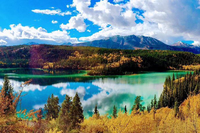 Skagway Shore Excursion: Full-Day Tour of the Yukon - Key highlights worth planning around