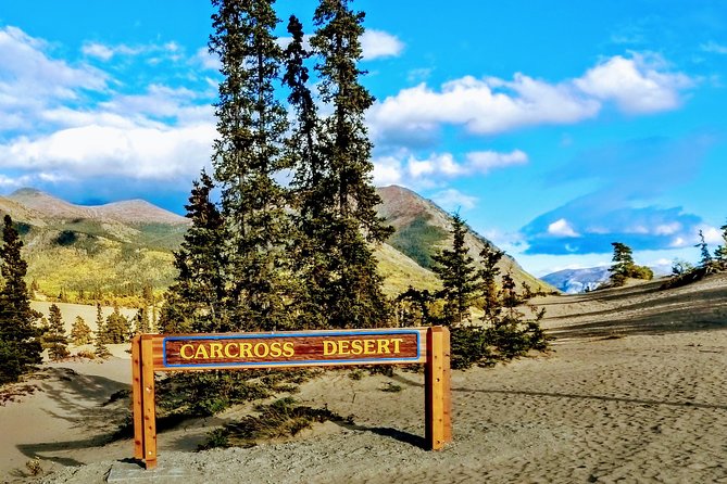 Skagway Shore Excursion: Full-Day Tour of the Yukon - Skagway to the Yukon in one day: why this Klondike Highway route works