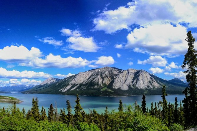 Skagway Shore Excursion: Full-Day Tour of the Yukon - Passport to the border: the paperwork reality you cannot skip