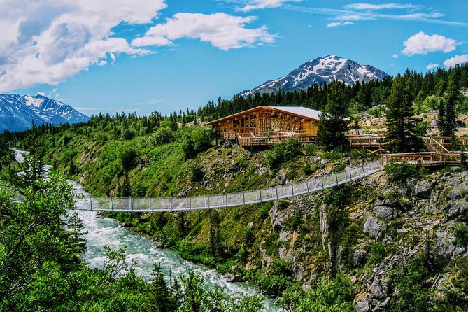 Skagway Shore Excursion: Half-Day Tour to the Yukon Border and Suspension Bridge - The Klondike Highway photo rhythm, and what to watch for at each pull-off