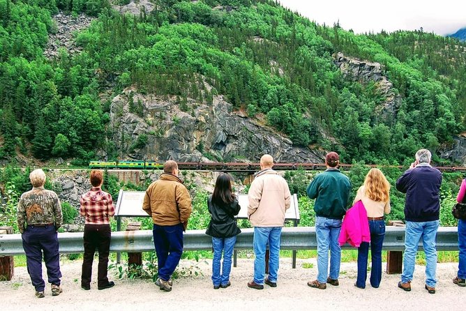 Skagway Shore Excursion: Half-Day Tour to the Yukon Border and Suspension Bridge - Wildlife watching that actually fits a half-day schedule