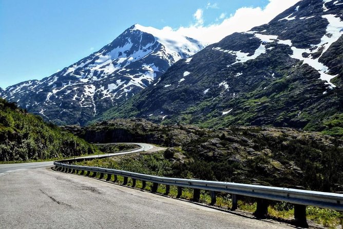 Skagway Shore Excursion: Half-Day Tour to the Yukon Border and Suspension Bridge - What could frustrate you, and how to avoid it