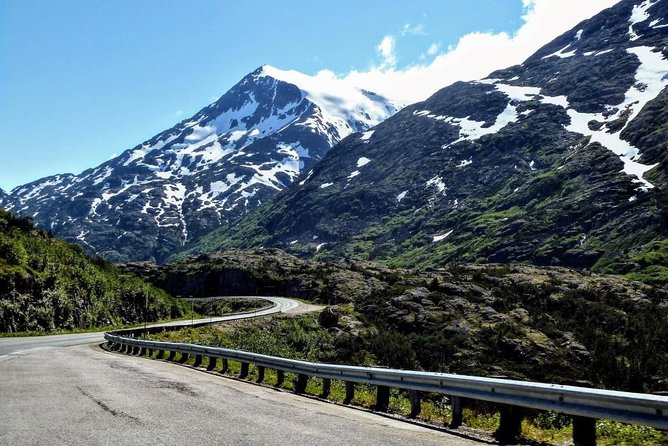 Skagway Shore Excursion: White Pass Summit and Skagway City Tour - Guide-led narration makes the route feel connected