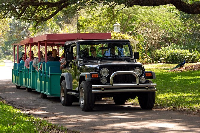 Skip the Line: Flamingo Gardens Admission Ticket in Fort Lauderdale - Touring the Wray House Museum and the 1930s Story of the Property