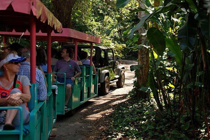 Skip the Line: Flamingo Gardens Admission Ticket in Fort Lauderdale - Everglades Five Ecosystems: Native Plants With a Real Sense of Place