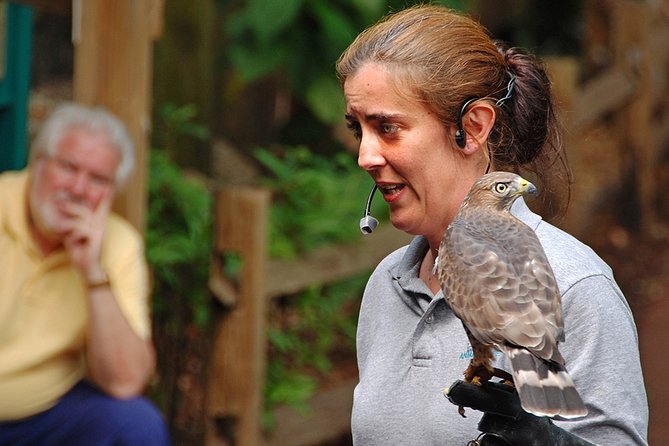 Skip the Line: Flamingo Gardens Admission Ticket in Fort Lauderdale - Food Breaks and Where to Recharge Without Leaving the Grounds