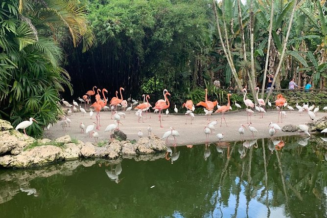 Skip the Line: Flamingo Gardens Admission Ticket in Fort Lauderdale - Wildlife Encounter Shows: Learning From the People Who Handle the Animals