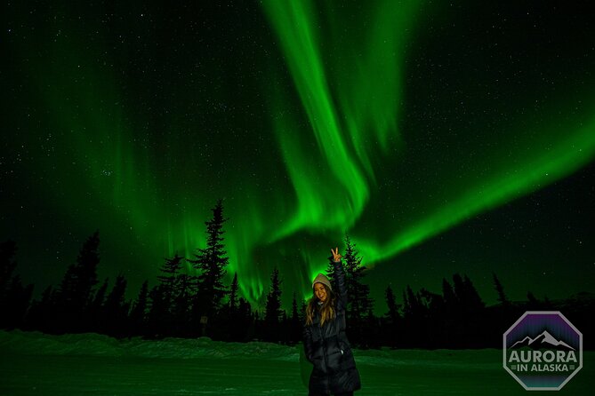 SkyChase™ | Northern Lights Experience - Free Photography & More - The Photography Setup: Tripods, Pro Shots, and How to Get Better Results