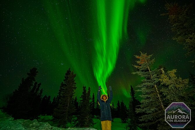 SkyChase™ | Northern Lights Experience - Free Photography & More - Campfire Warmth, Borealis Brew Drinks, and the Included Meal