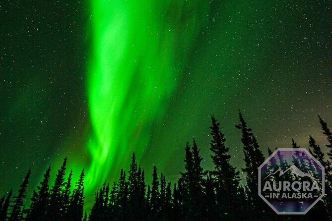SkyChase™ | Northern Lights Experience - Free Photography & More - Price and Value at $335: What You’re Really Paying For