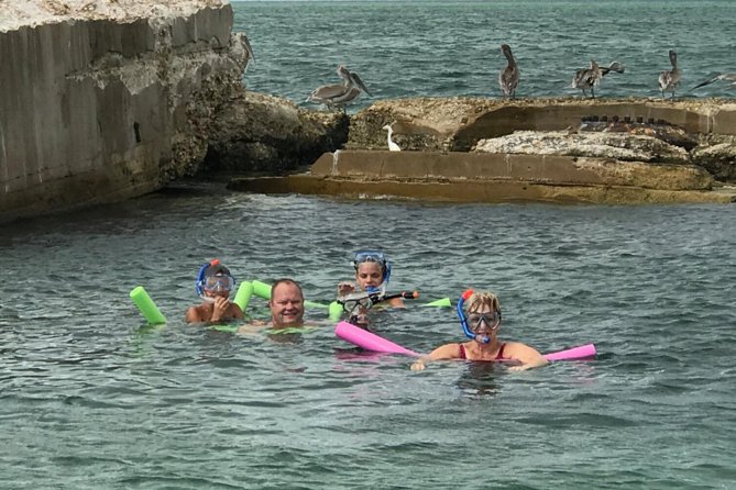 Small Group 2 Hour Dolphin Cruise with Snorkeling to Shell Key - Quick Take: What You Get for $75 in Tampa Bay