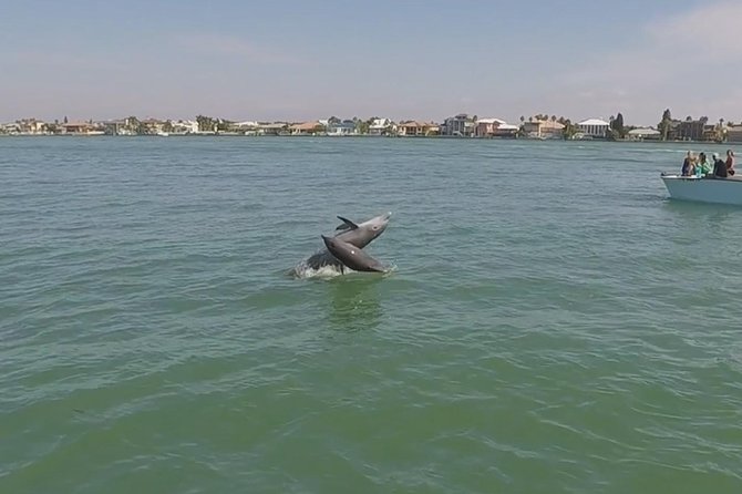Small Group 2 Hour Dolphin Cruise with Snorkeling to Shell Key - Boca Ciega Bay: The Dolphin and Manatee Game Plan