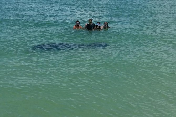 Small Group 2 Hour Dolphin Cruise with Snorkeling to Shell Key - Food, Drinks, and What to Pack for the Day