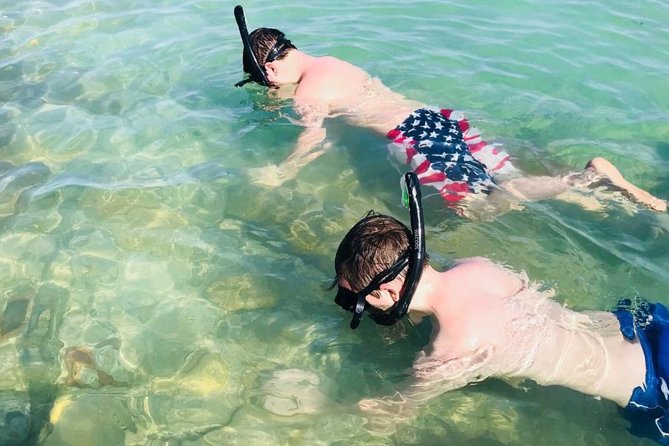 Small Group 2 Hour Dolphin Cruise with Snorkeling to Shell Key - Getting to Tierra Verde Marina and St. Pete Beach Without Stress