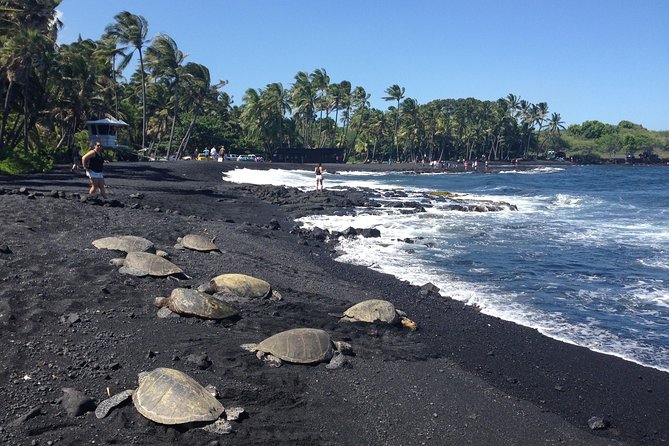 Small-Group Big Island Tour: Hawaii Volcanoes National Park and Kona Coffee Farm - A Kona Volcano Day Built for Variety, Not Just Driving