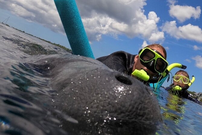 Small Group Manatee Snorkel Tour with In-Water Guide and Photographer - The 3-hour flow: check-in, wetsuit, van ride, then the in-water time