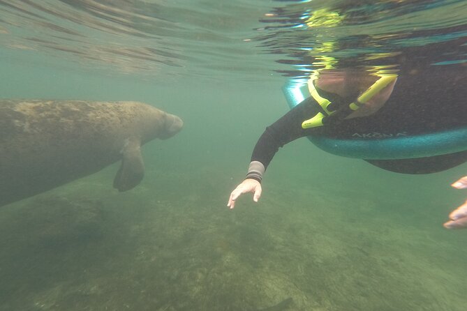 Small Group Manatee Snorkel Tour with In-Water Guide and Photographer - Group size max six, and why it makes your manatee time better