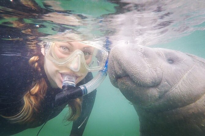 Small Group Manatee Snorkel Tour with In-Water Guide and Photographer - Getting comfortable: included wetsuit, gear, and that heated enclosed boat
