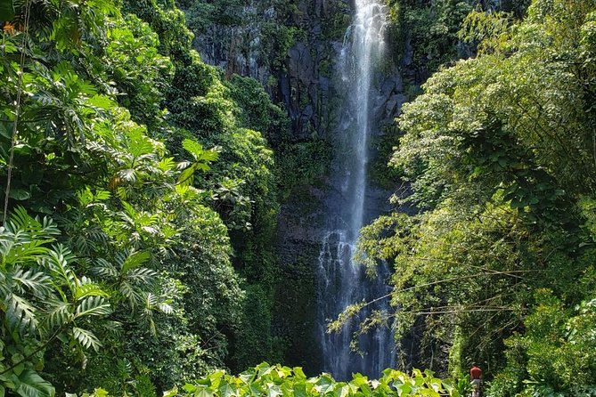 Small-Group Road to Hana Adventure Tour with Pickup & Lunch - Key Highlights You Should Care About