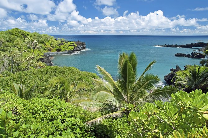 Small-Group Road to Hana Adventure Tour with Pickup & Lunch - Pickup, Group Size, and the Pace You Will Feel