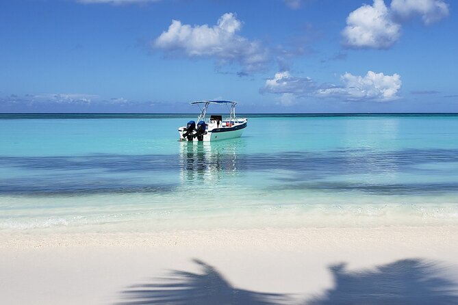 Small Group: Saona Island Full Day Tour - Food, Drinks, and the Value of Included Extras