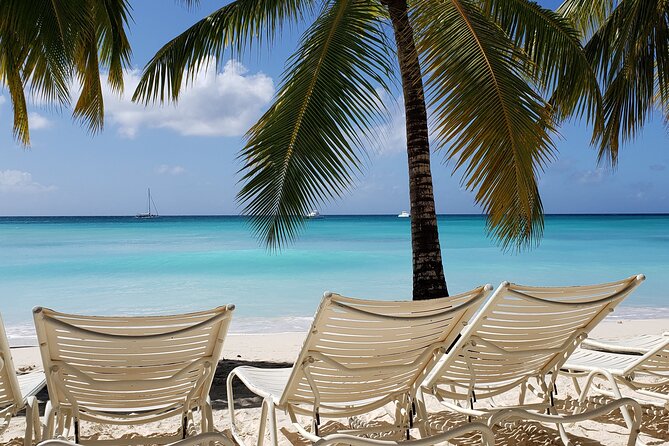 Small Group: Saona Island Full Day Tour - 6:00 AM Start, Pickup, and What to Pack for the Ride