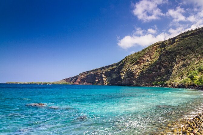 Small-Group Snorkel at Kealakekua Bay in Captain Cook, Big Island - The 3-hour flow: what to expect from the moment you meet