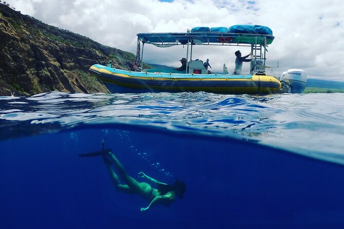 Small Group Snorkeling Expedition South Kona - Should You Book This South Kona Snorkeling Tour?