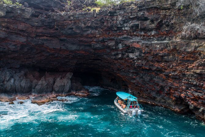 Small Group Snorkeling Expedition South Kona - What You Eat and How the Gear Works (Lunch Sandwich Choices Included)