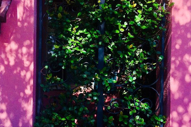 Small-Group Tour: Charleston Old Walled City Historical Walking Tour - St. Philip’s Church, Early Charleston Power, and a Graveyard Reset