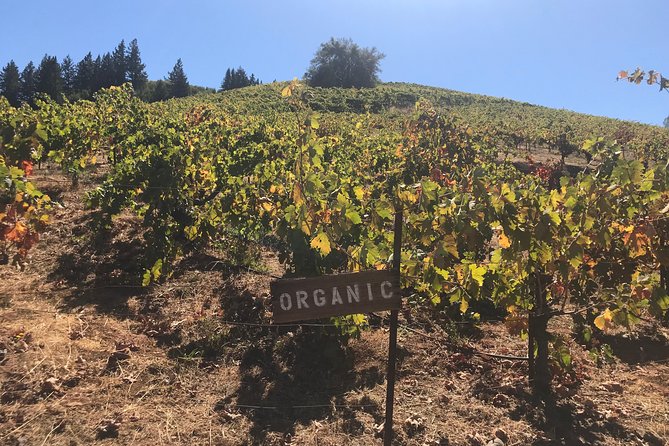 Small-Group Wine Country Tour from San Francisco with Tastings - Sonoma Valley Tastings: Three Stops That Actually Teach You