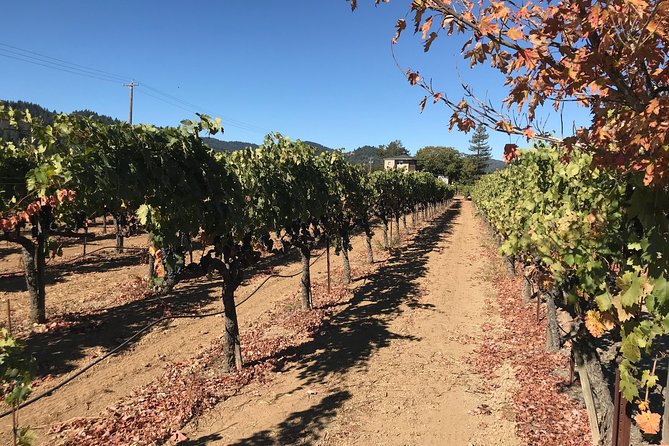 Small-Group Wine Country Tour from San Francisco with Tastings - Second and Third Winery Visits, With Less Rush