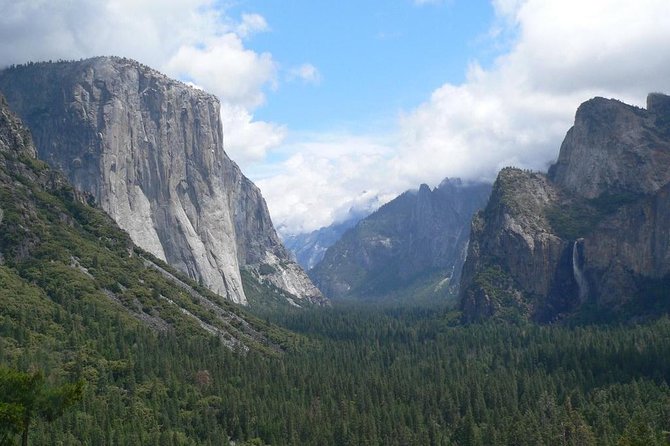 Small Group Yosemite and Giant Sequoias Day Trip from San Francisco - Tuolumne Grove of Giant Sequoias: what you’re really paying for