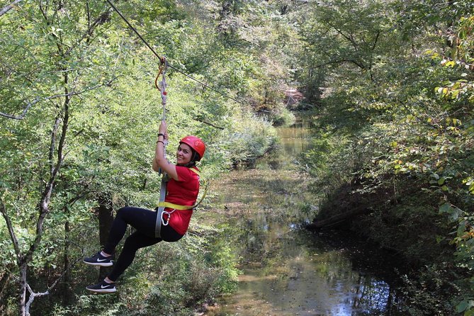 Small-Group Zipline Tour in Hot Springs - Key Highlights You’ll Actually Feel During the Tour