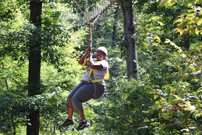 Small-Group Zipline Tour in Hot Springs - Why This Hot Springs Zipline Tour Feels Like More Than Speed