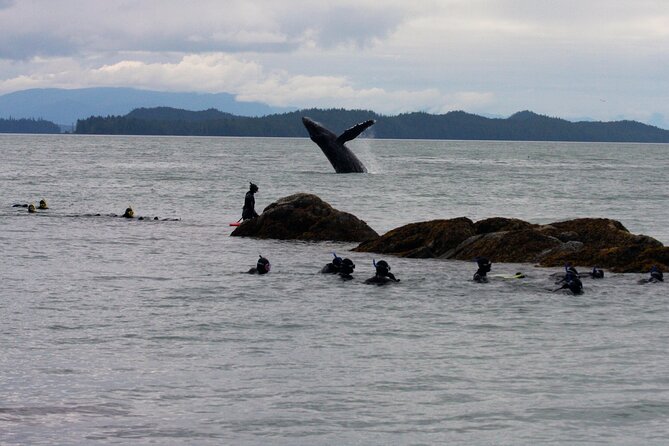 Snorkel Alaska - What happens before you even hit the water