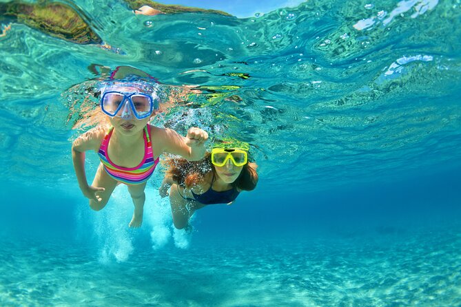 Snorkeling and Dolphin Watching Experience in Destin - Quick hits