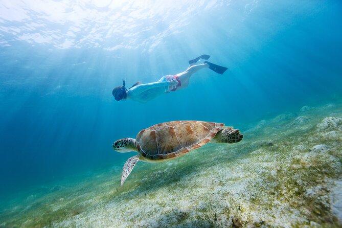 Snorkeling and Dolphin Watching Experience in Destin - From 189 Brooks St SE to a 45-foot catamaran day