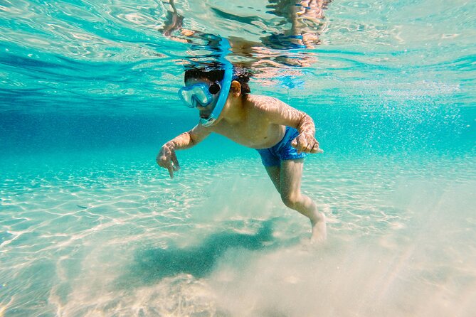Snorkeling and Dolphin Watching Experience in Destin - The snorkeling stop: easy entry, shallow swimming, shelling chances