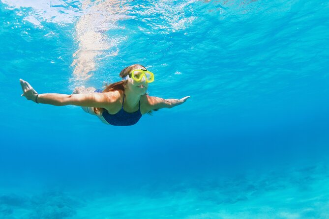 Snorkeling and Dolphin Watching Experience in Destin - What’s included in the $44 price, and what costs extra