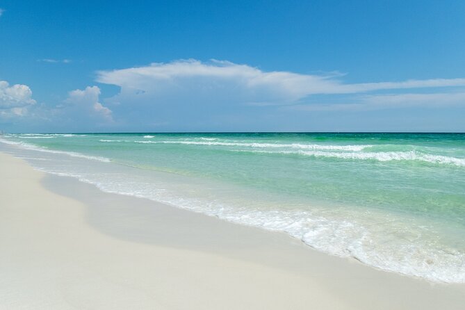 Snorkeling and Dolphin Watching Experience in Destin - Who this Destin dolphin and snorkeling tour fits best